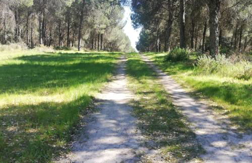 Casa Zé Actor - Foto 33