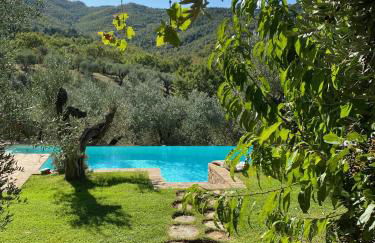 Fontanaro Farm and Culinary School - Foto 8