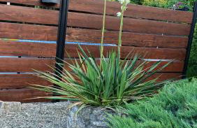 Apartament u Agaty Czernichów Kraków Zator - Foto 43