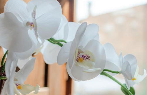 Nel cuore della Toscana con piscina - Foto 32