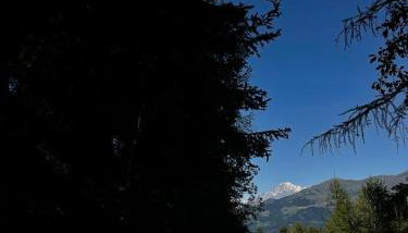 Appartamenti Grivola - Foto 4