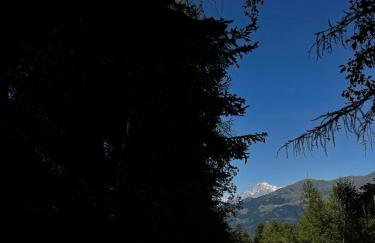 Appartamenti Grivola - Foto 4