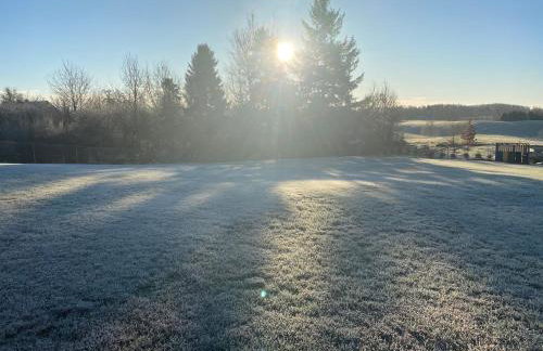 Domek pod brzozami - Foto 2