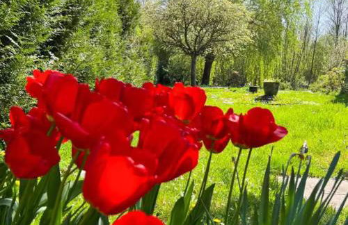 Gîte De Vacances Jardin Monet Giverny Vernon - Foto 35