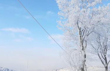 Haus Schneider - Photo 1