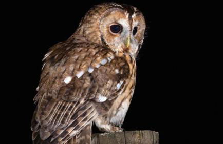 Jordan Cottage - Foto 14