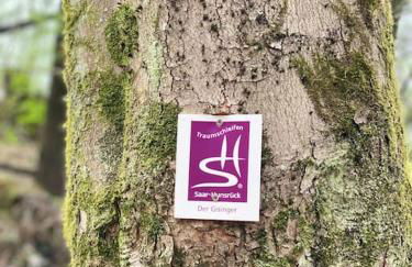 FERIENWOHNUNG ALL YOU NIED mit NIEDBLICK und TERRASSE - Foto 16