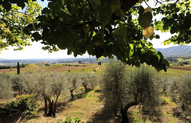 Rustic Elegance Near Florence - Foto 37