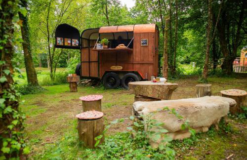 Woodland Lodge Aberporth - Foto 18