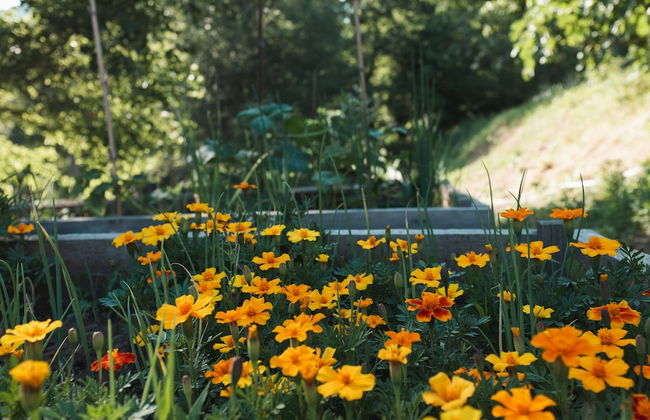 Borgo del Sole Agriturismo - Photo 39