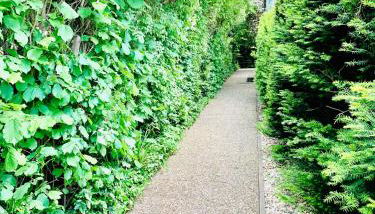 An der Uniklinik, Apartment mit eigener Küche und renoviertem Badezimmer, Zentrale Lage - Photo 2