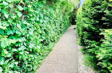 An der Uniklinik, Apartment mit eigener Küche und renoviertem Badezimmer, Zentrale Lage - Photo 2