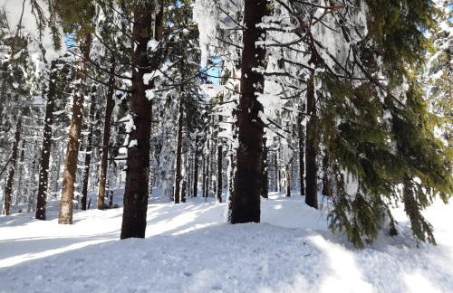 Chata góralska Wojtasówka - Foto 64