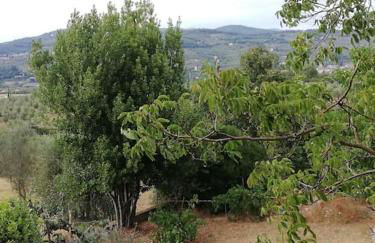 I Rosai appartamento sulle colline fiorentine - Foto 57