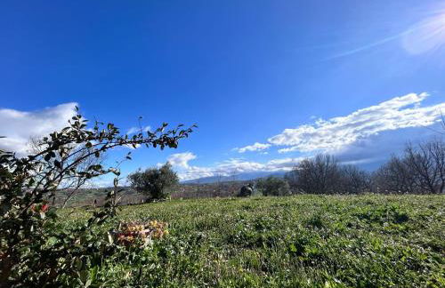 Residence San Martino Appartamento mini - Foto 8