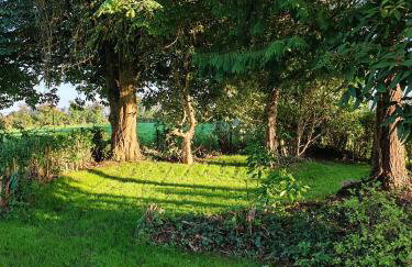 TheWeeHouseOnTheHill - Foto 33