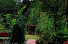 Agroturystyka Stara Huta - Foto 39