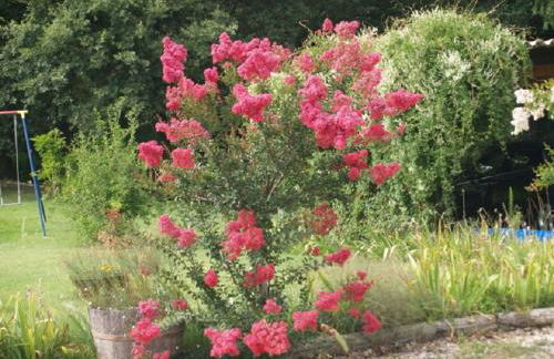 Le Rieufroid - Foto 46