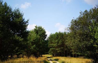 Domki pod mazurskim niebem - Foto 13