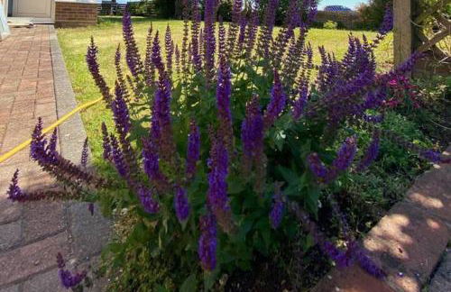 House - Free Parking & Sea Views - Foto 7