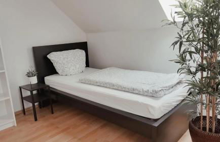 Monteurwohnung in Wesermarsch, Küche, Einzelbetten, Stedinger Landhotel - Photo 6