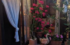 Chalet sul Trasimeno - Photo 18