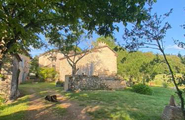 La Pause noble val - Foto 44