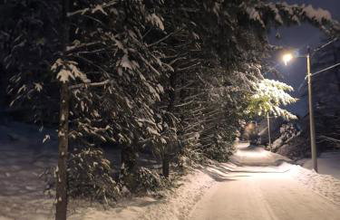 Old house by the stream - Photo 48