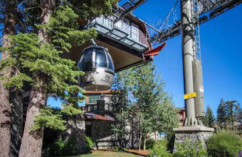 Mammoth Green 101 - Photo 25