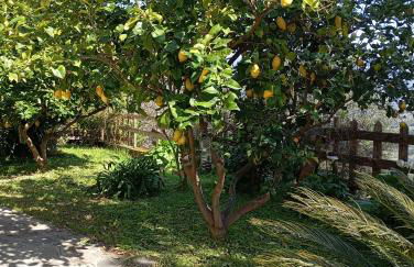 Casa Vacanze Diamante - Photo 2