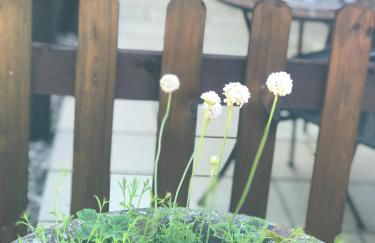 Brampton Luxury Annexe Apartment - Foto 27