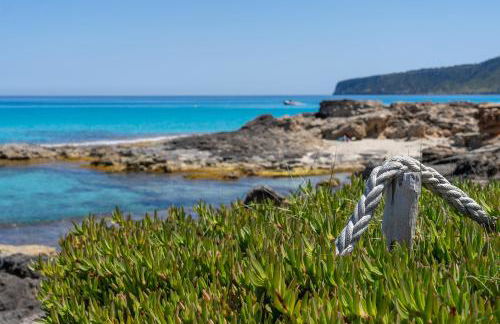 Cavall de Llevant - Formentera Break - Photo 33