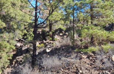 Casa Carla - Foto 18