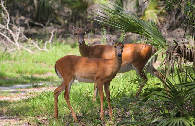 Camp Mack Lodge, Marina & RV Resort - Foto 77