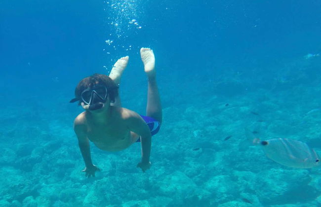 Snorkeling dans le parc naturel de Porto Conte - Photo 5