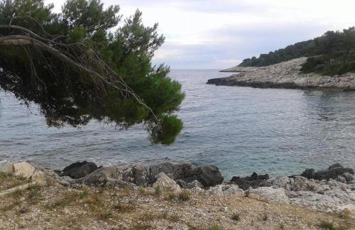 Apartment Vesna - Photo 30