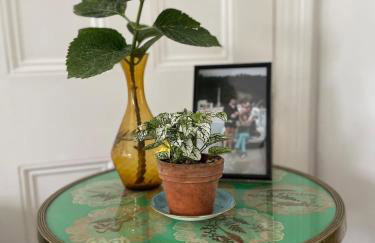 Light & spacious family house, Kensal Rise, London - Foto 54