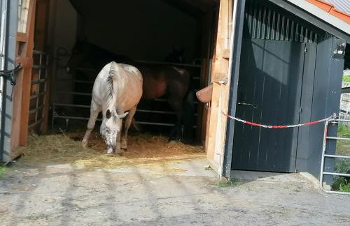 Wild Life Ranch - Foto 26