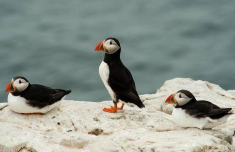 3 Bed in Waren Mill oc-gd1928 - Foto 31