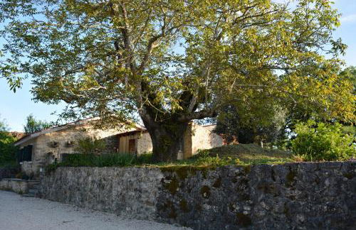 Casa da Pedra - Foto 6