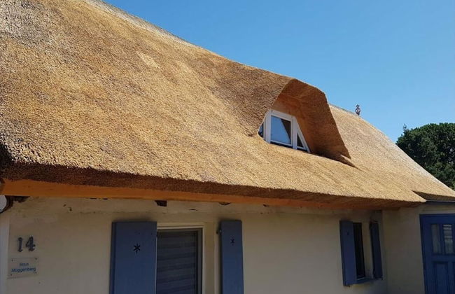 "laura" Comfortable Holiday Residence - Photo 26