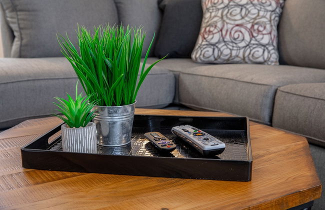 Stay Avenida Westshore - Photo 16