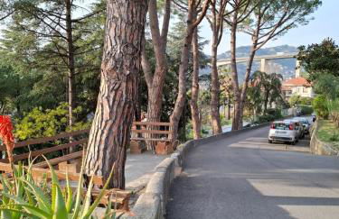 Le Mimose Garden - Photo 18