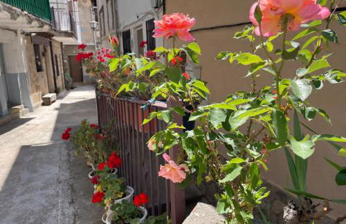 Casa Árbol - Foto 50