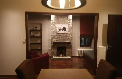 Τείχιο Πατρικό - Tihio Patriko - Πέτρινη κατοικία - Foto 10