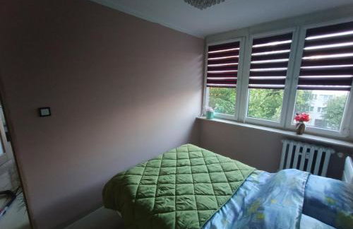 Retro Apartament blisko Parku - Photo 3