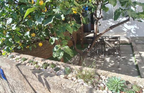 Lemon Garden Apartment - Foto 37