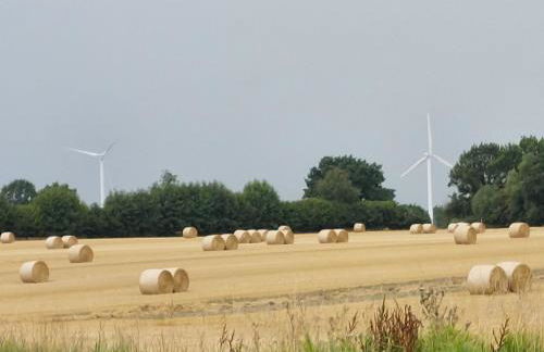 Ferienwohnung im Ostseebad Schönberg nahe Schönberger Strand Ostsee Self-Check-in - Foto 17