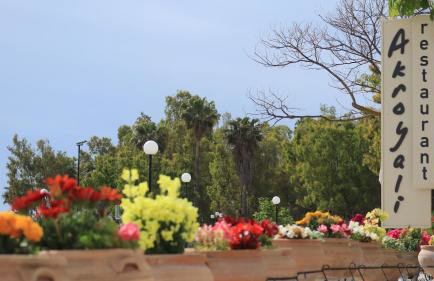 Akroyali Hotel & Villas - Foto 23