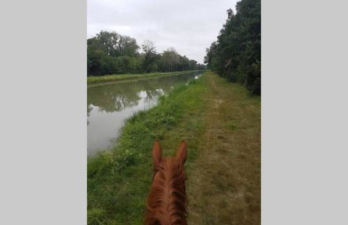 Villa Monplaisir 82 - Foto 24